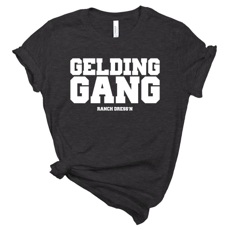 ranch-dressn-gelding-gang-t-shirt-4hooves