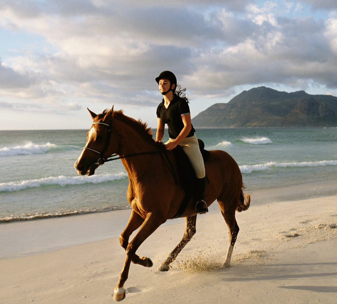 Holiday with a horse - this is how it becomes a dream holiday