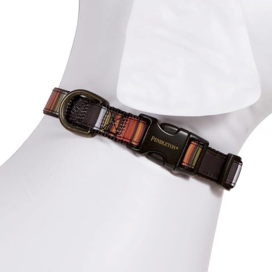 Pendleton Hundehalsband National Park Collection - Acadia