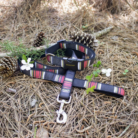 Pendleton Hundehalsband National Park Collection - Acadia