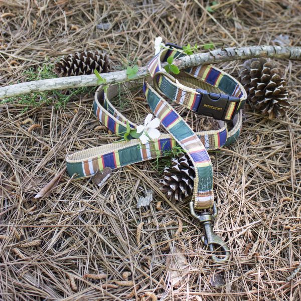 Pendleton Hundehalsband National Park Collection - Badlands