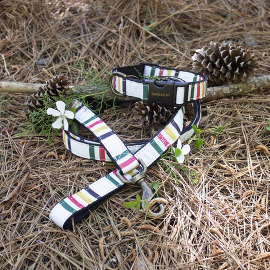 Pendleton Hundehalsband National Park Collection - Glacier