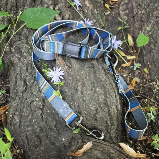 Pendleton Hundehalsband Adventure Collection - Olympic