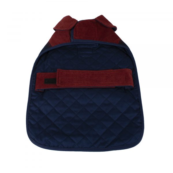 Pendleton Hundemantel National Park Collection - Zion