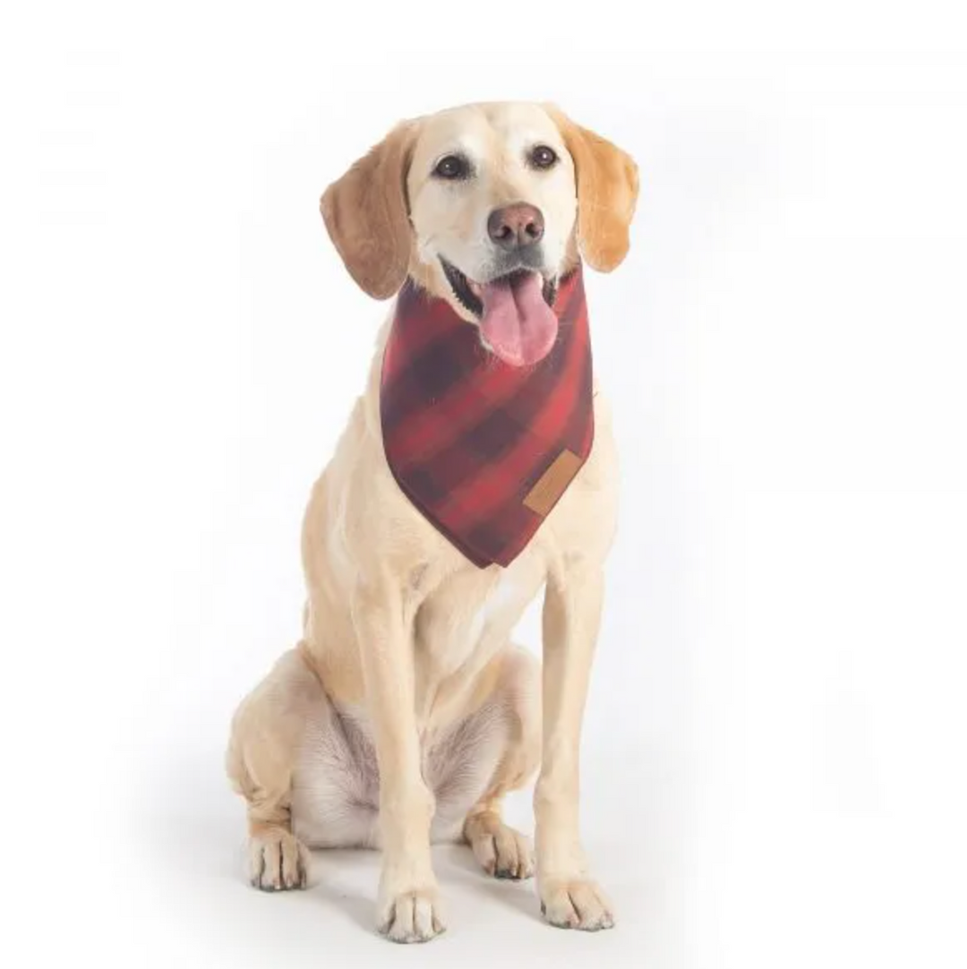 Pendleton Bandana für Hunde - Red Ombre Plaid