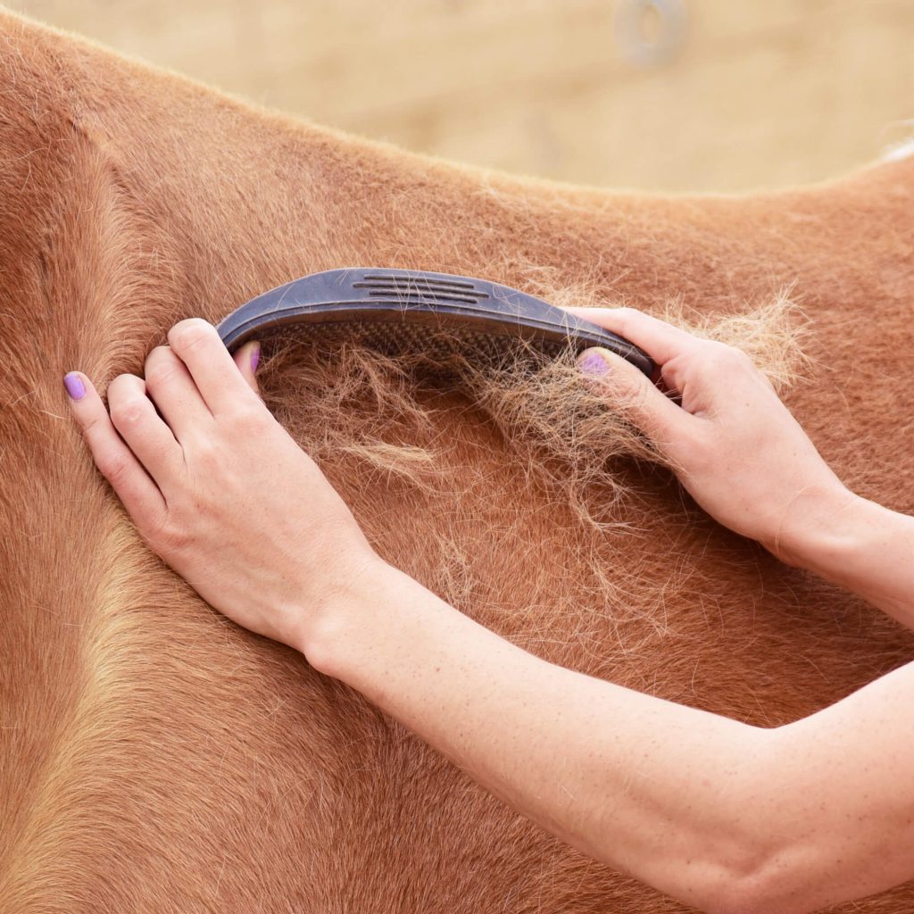 StripHair Gentle Groomer für Pferde