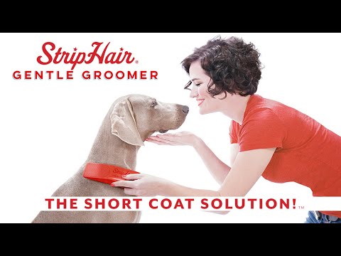 StripHair Gentle Groomer für Haustiere