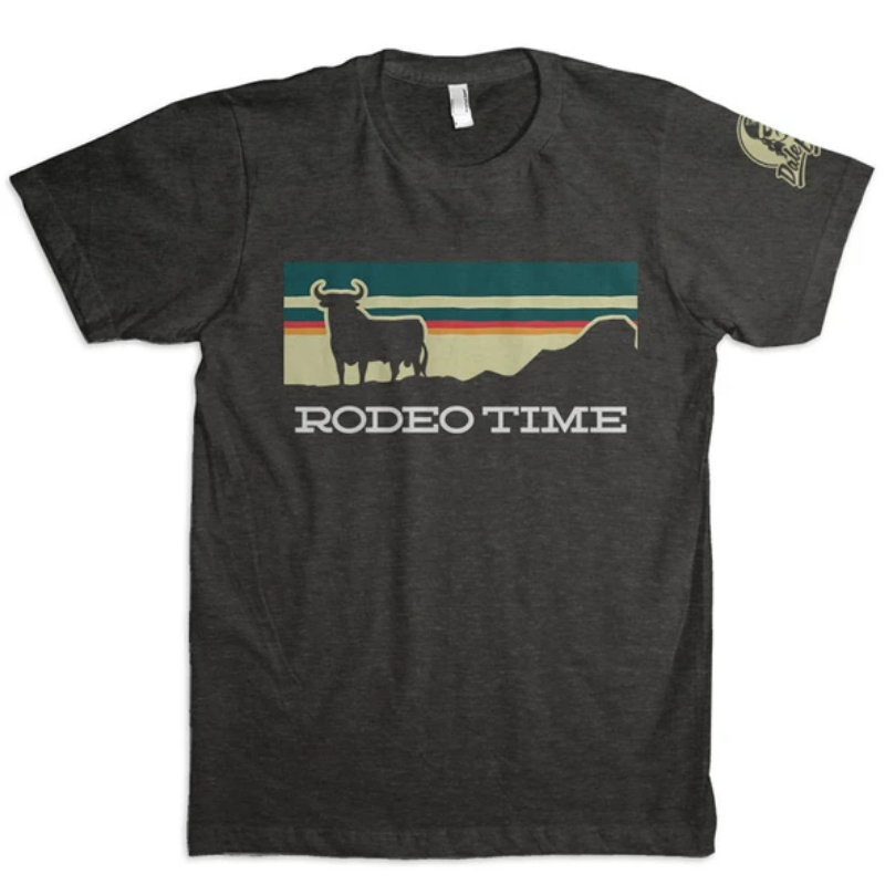 Dales-Brisby-Rodeo-Time-Sunset-4hooves
