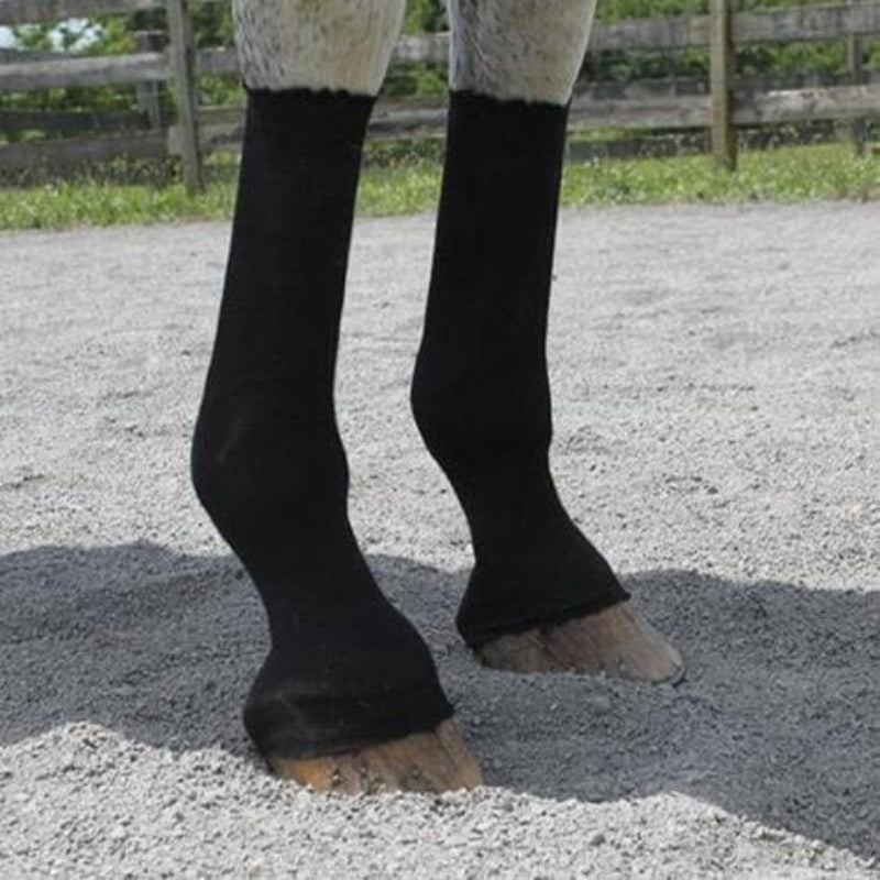 equifit-horsesox-black-4hooves-leg