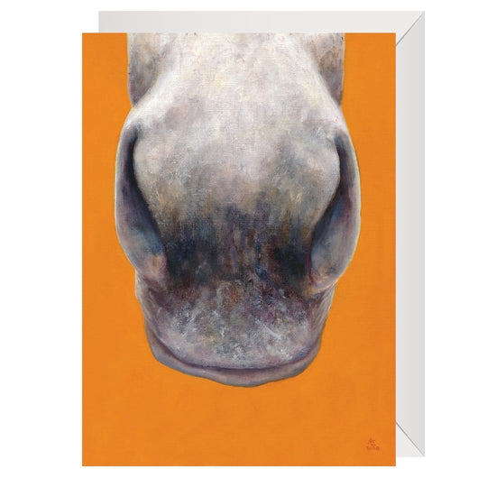 heelsdown-greeting-cards-just-noses-4hooves-mango-horse-nose