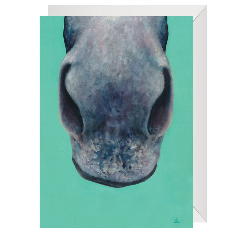 heelsdown-greeting-cards-just-noses-4hooves-seafoam-horse-nose